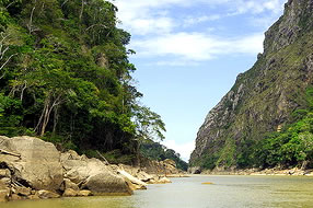 Tapacare Programme - Chalalan, Rurrenabaque