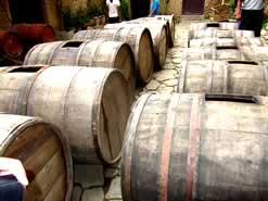 Tarija Vineyard Tour, Tarija