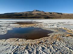 Private Tour Uyuni Salt Flat and Lagoons