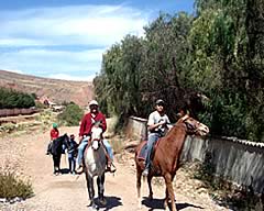 Paseos a Caballo en Potosi, Potosi