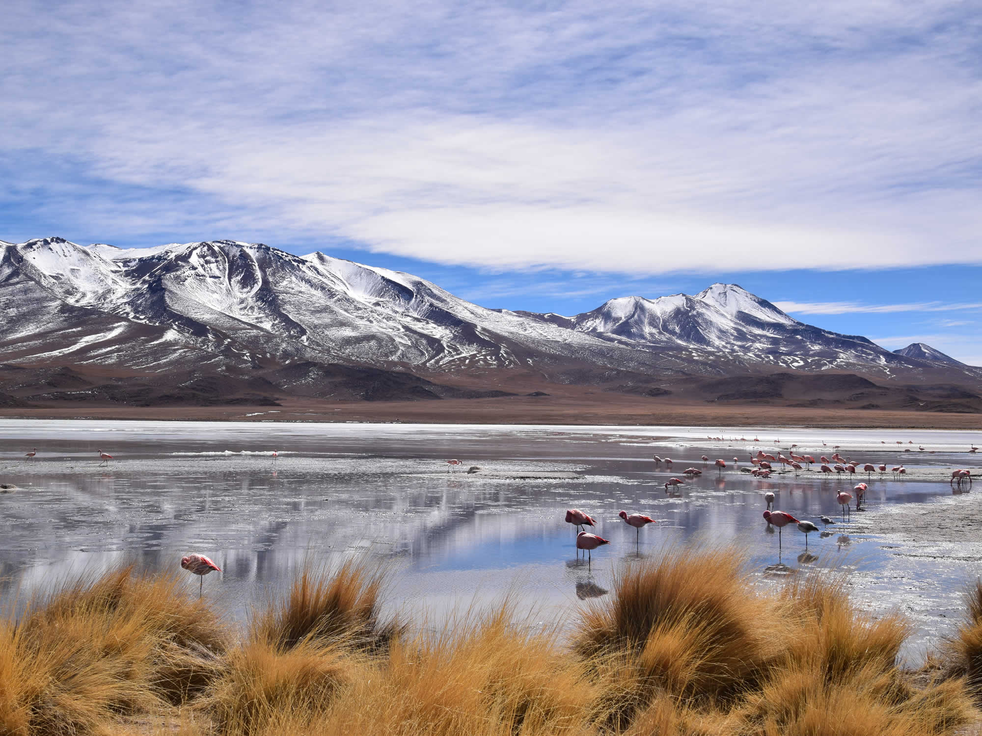 Tour Privado San Pedro de Atacama - Reserva Eduardo Avaroa - Salar de Uyuni, Uyuni