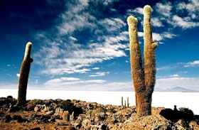 San Pedro de Atacama (Chile) - Uyuni Salt Flat Tour, Uyuni